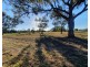 59-61 Jane Street, Dirranbandi QLD 4486