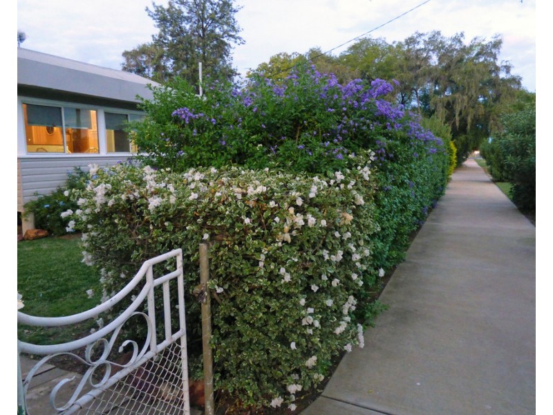 9-11 Church Street, St George QLD 4487