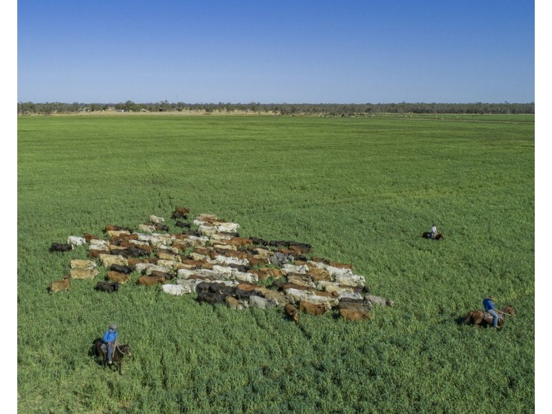 914 RETREAT ROAD, Warkon QLD 4417