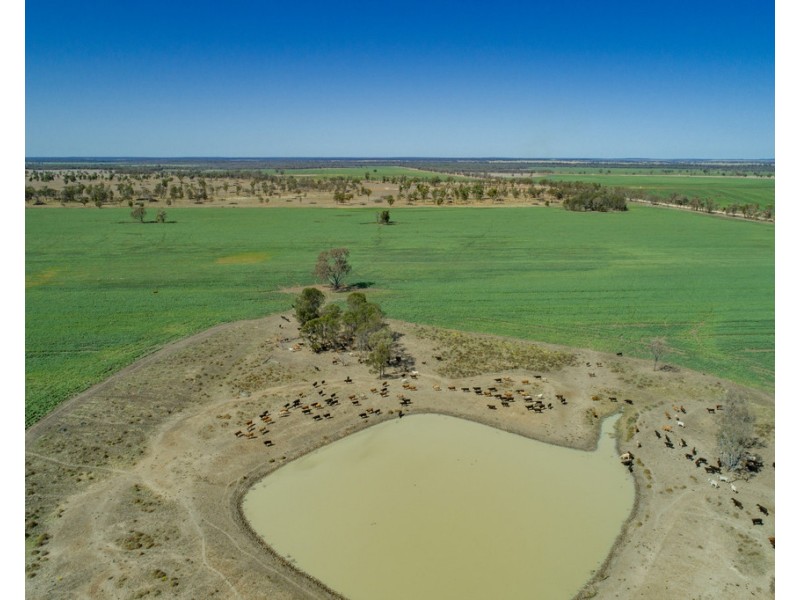 914 RETREAT ROAD, Warkon QLD 4417