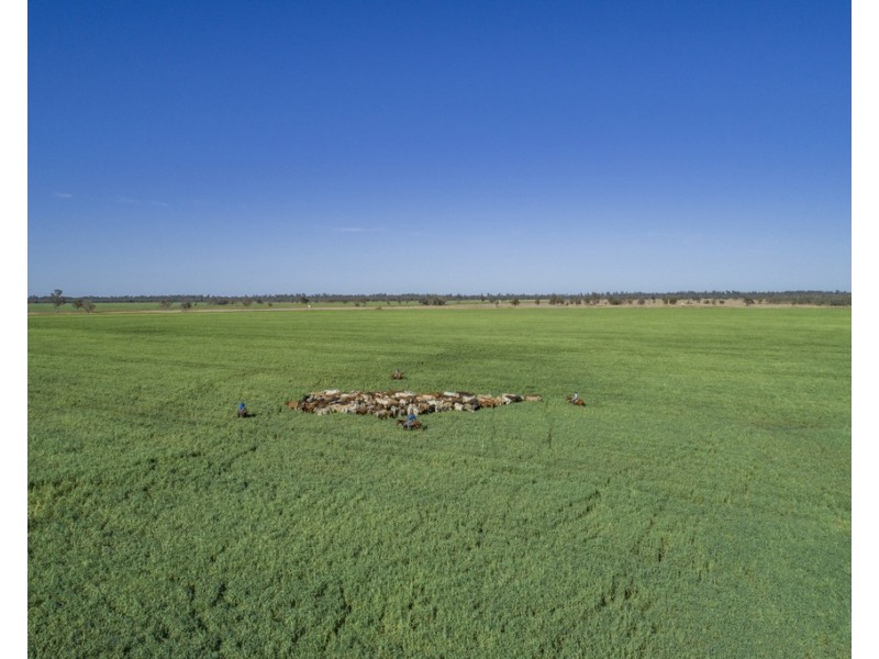 914 RETREAT ROAD, Warkon QLD 4417