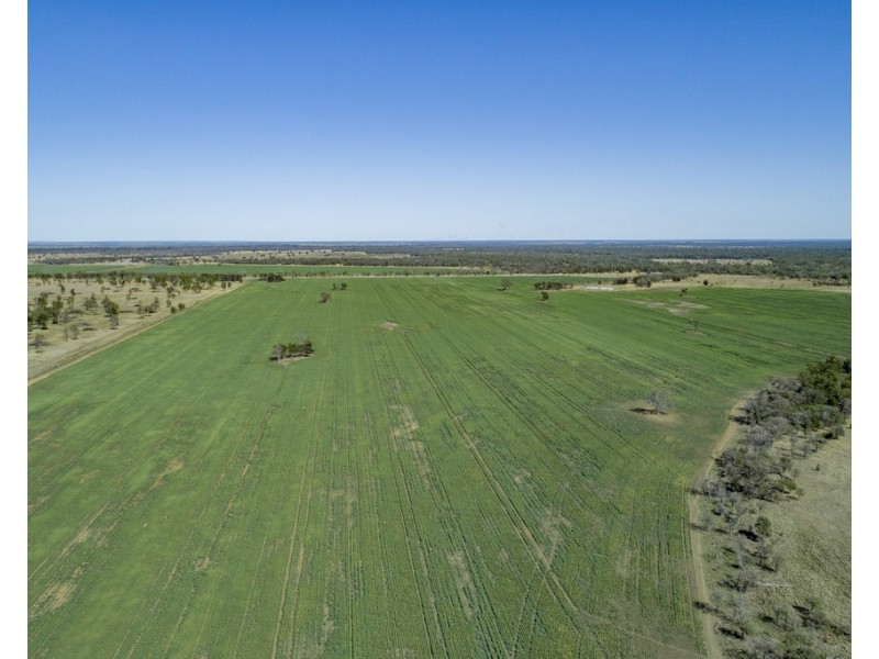 914 RETREAT ROAD, Warkon QLD 4417