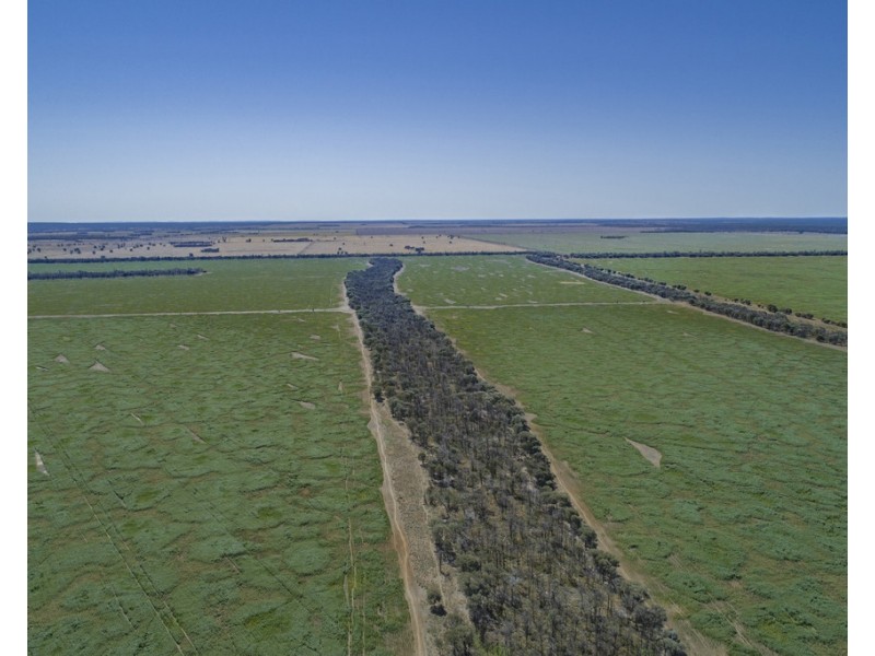 Warkon QLD 4417