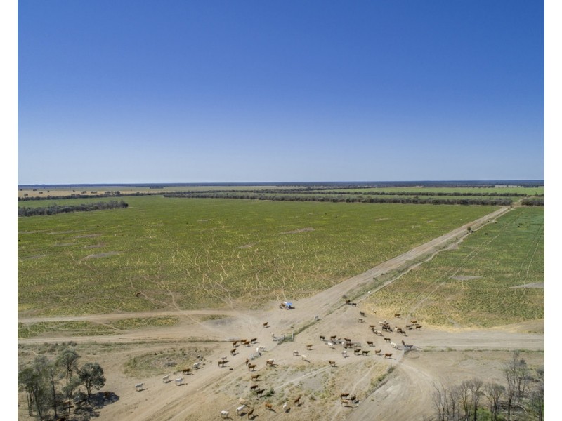 Warkon QLD 4417