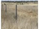 Warkon QLD 4417
