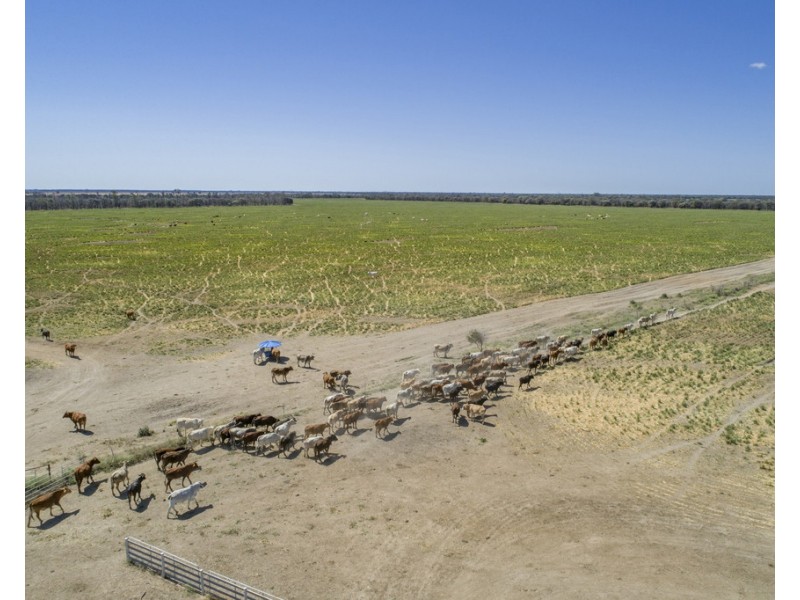 Warkon QLD 4417