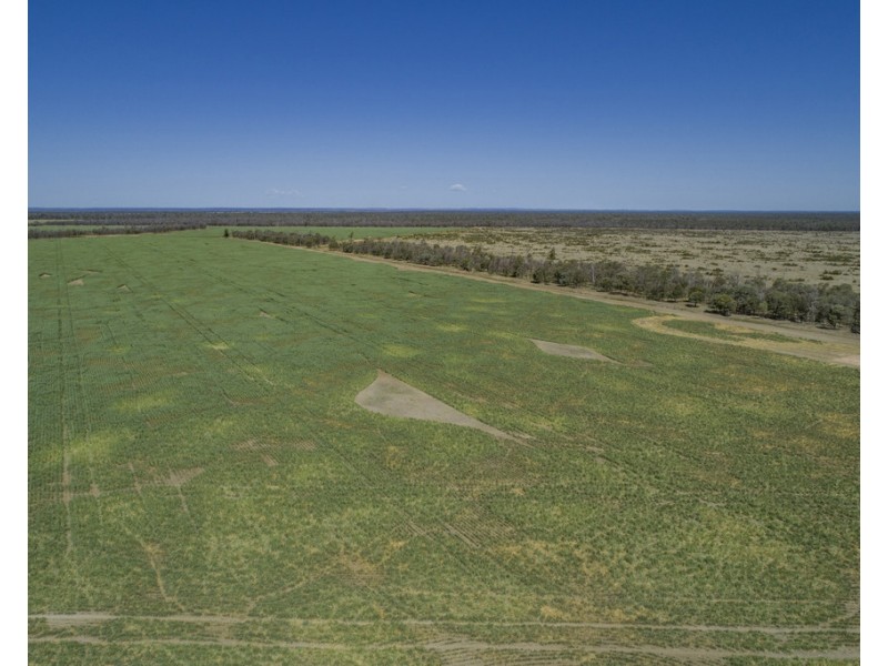 Warkon QLD 4417