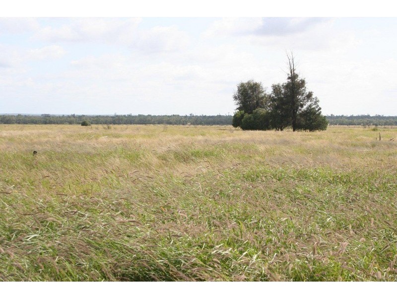 “ALTONVALE” MOONIE HWY, St George QLD 4487