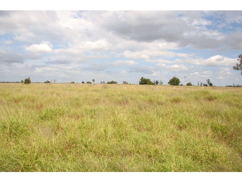 “ALTONVALE” MOONIE HWY, St George QLD 4487