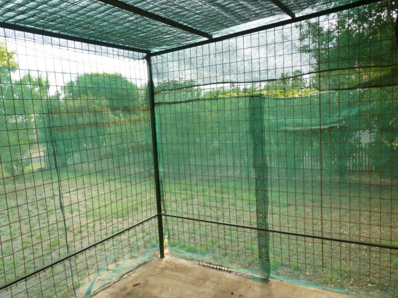 21 Weatherall Street, St George QLD 4487