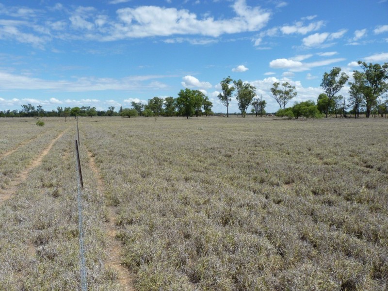 LOT 46 SALMON ROAD, St George QLD 4487