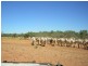 . THOMSON DEVELOPMENTAL   RD, Jundah QLD 4736