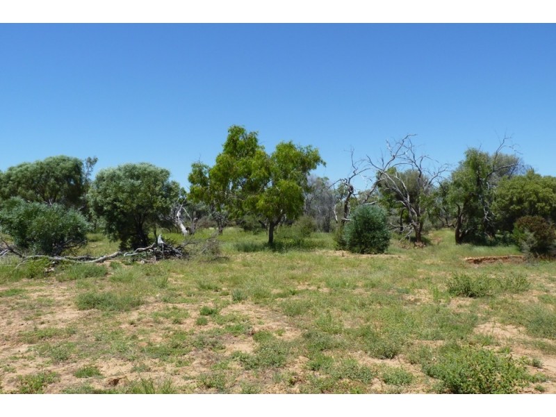 . THOMSON DEVELOPMENTAL   RD, Jundah QLD 4736