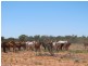 . THOMSON DEVELOPMENTAL   RD, Jundah QLD 4736