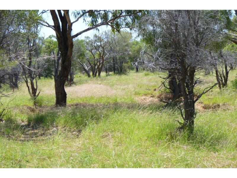 . THOMSON DEVELOPMENTAL   RD, Jundah QLD 4736