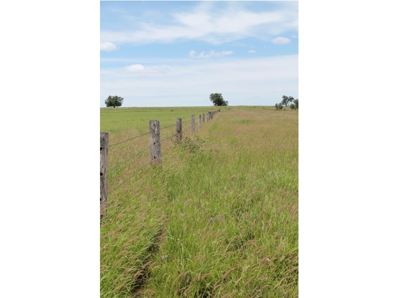 . CHAMBERS ROAD, Taroom QLD 4420