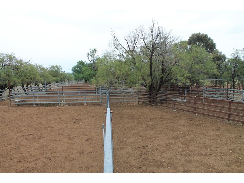. CHAMBERS ROAD, Taroom QLD 4420
