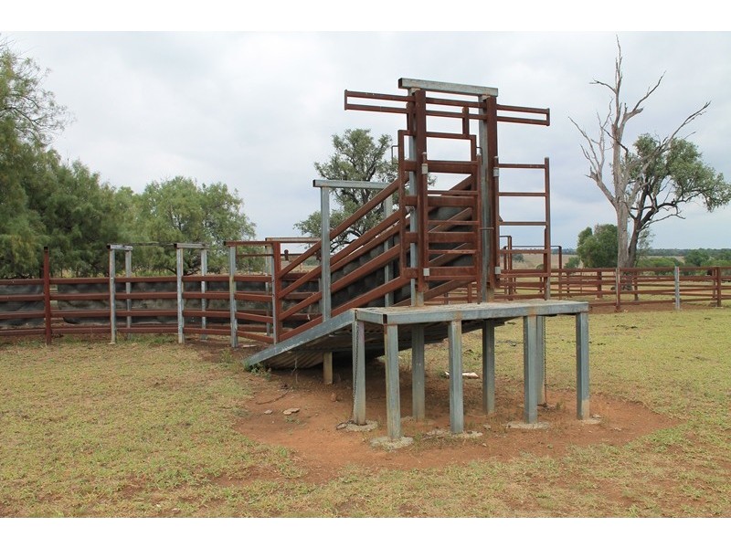 . CHAMBERS ROAD, Taroom QLD 4420