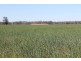 1097 FEAS ROAD, Talwood QLD 4496