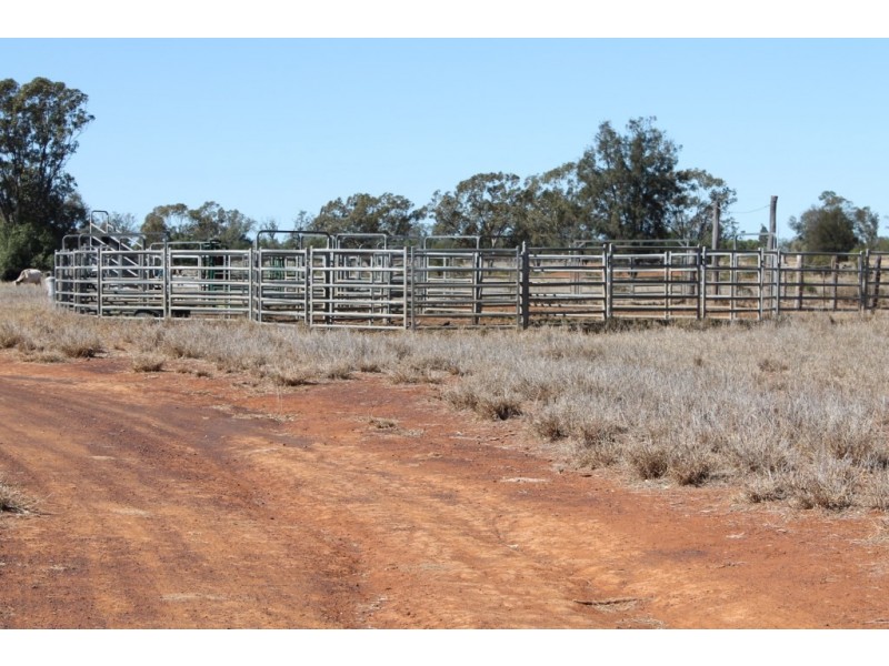 1097 FEAS ROAD, Talwood QLD 4496