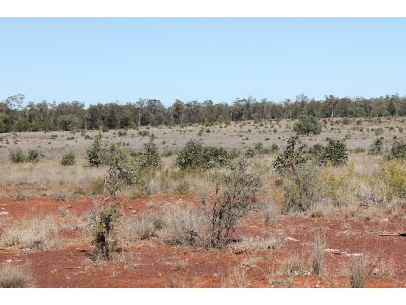 1097 FEAS ROAD, Talwood QLD 4496