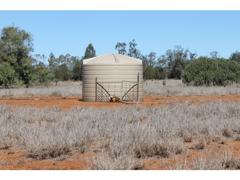 1097 FEAS ROAD, Talwood QLD 4496