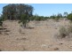 1097 FEAS ROAD, Talwood QLD 4496