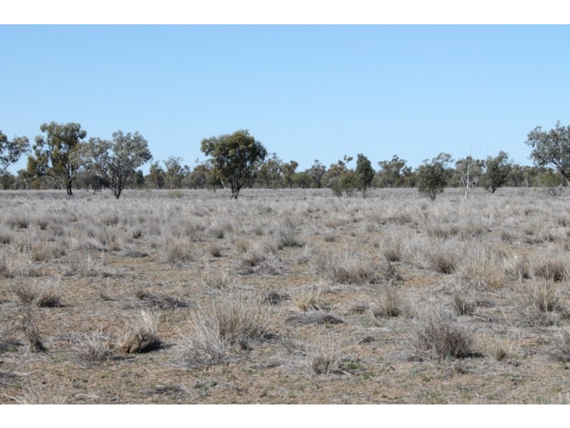 2209 KYWONG ROAD, Cunnamulla QLD 4490