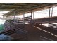 2209 KYWONG ROAD, Cunnamulla QLD 4490