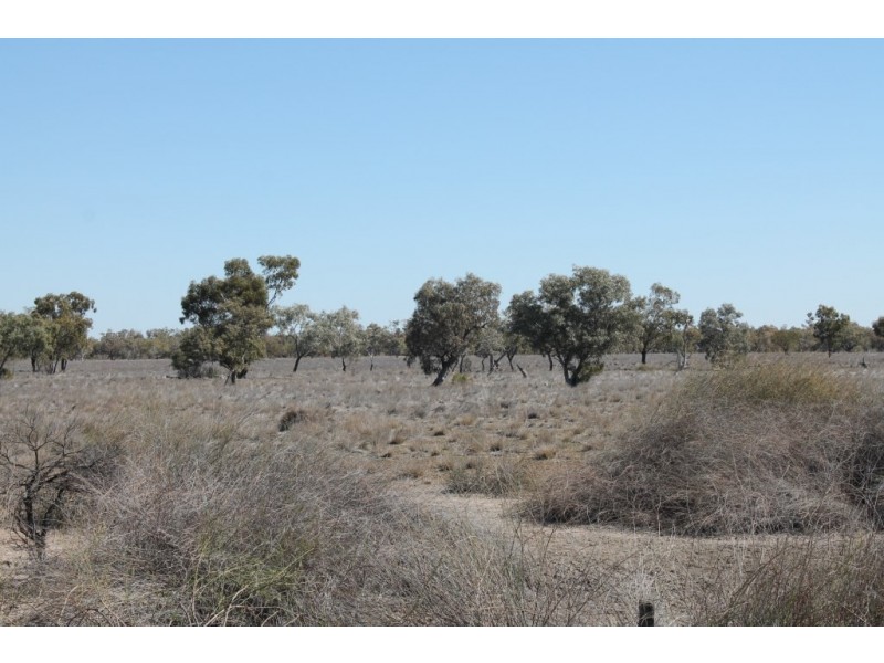 2209 KYWONG ROAD, Cunnamulla QLD 4490