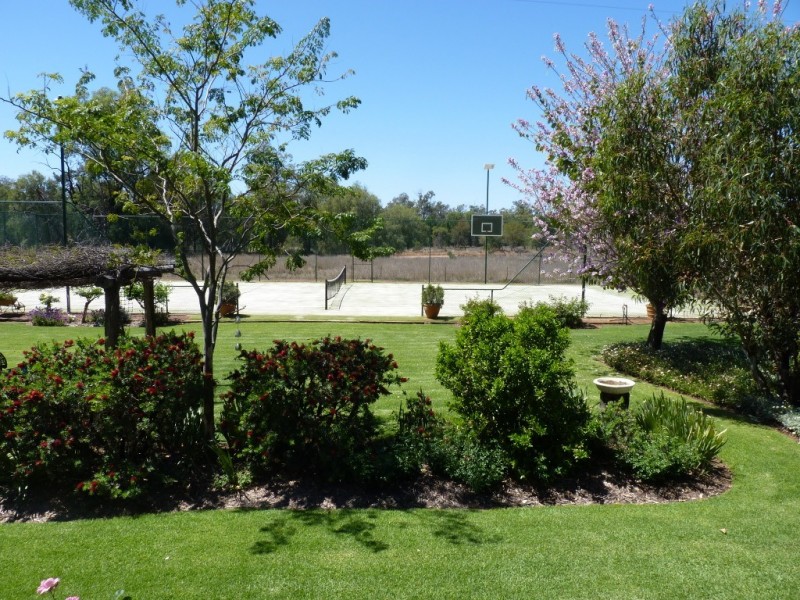 213 Whytes Road, St George QLD 4487