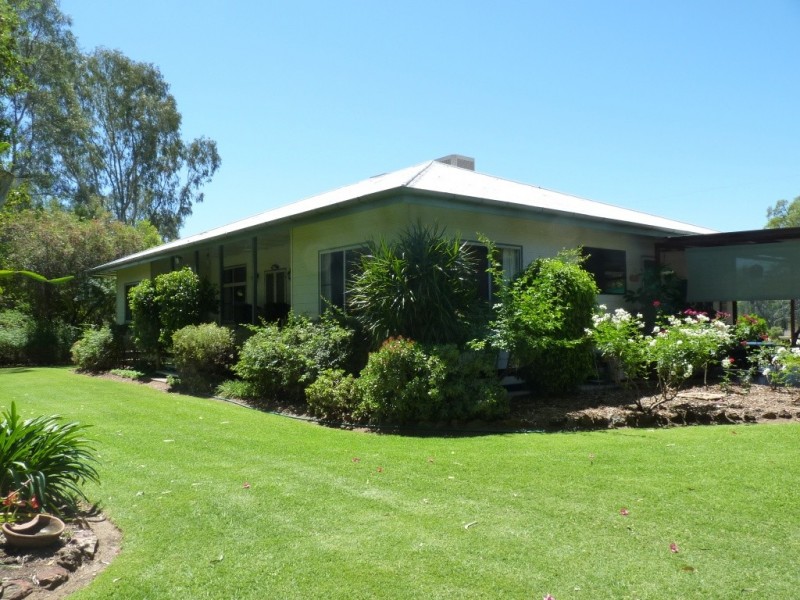 213 Whytes Road, St George QLD 4487