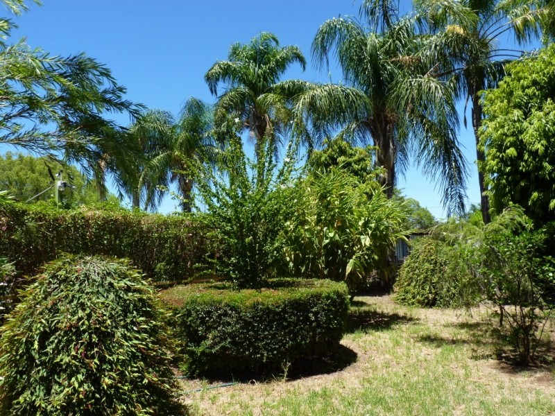 73 Alfred Street, St George QLD 4487