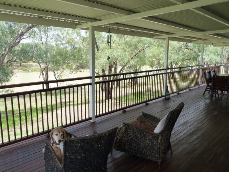 117 Whyenbah Road, St George QLD 4487