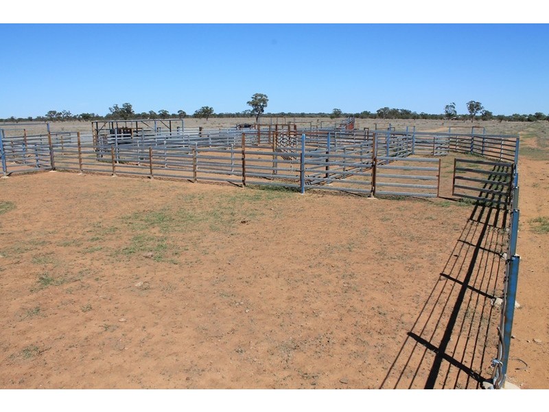 . RUNNEYMEDE ROAD, Bollon QLD 4488