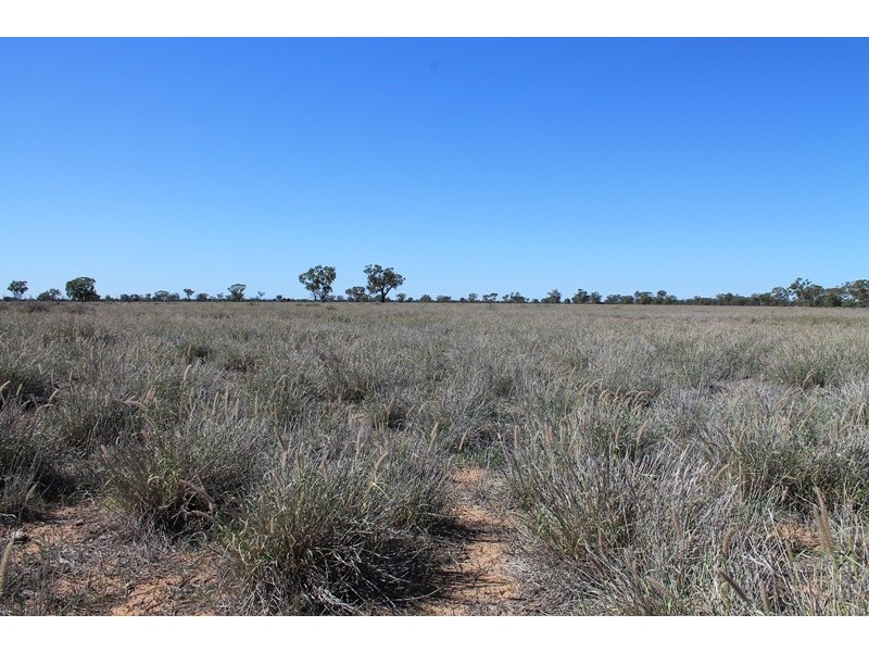 . RUNNEYMEDE ROAD, Bollon QLD 4488