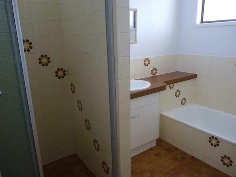 77 Alfred Street, St George QLD 4487