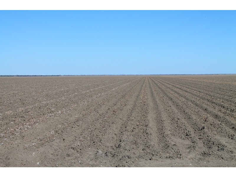 Lot 1 “Ballandool Station” Ballandool Road, Hebel QLD 4486