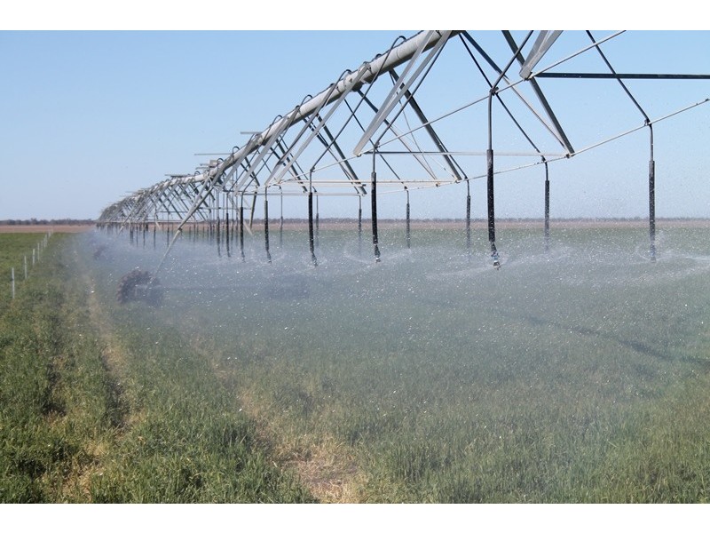 Lot 1 “Ballandool Station” Ballandool Road, Hebel QLD 4486