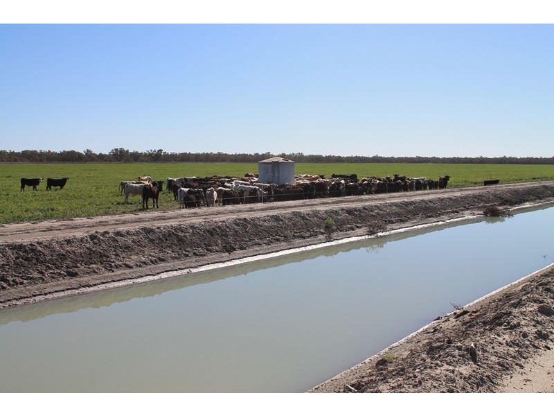 Lot 1 “Ballandool Station” Ballandool Road, Hebel QLD 4486