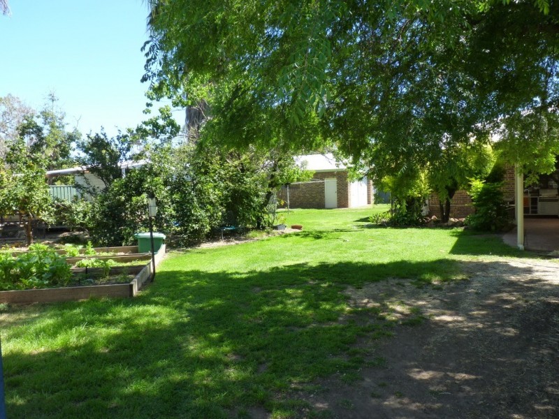 6 Murchison Street, St George QLD 4487