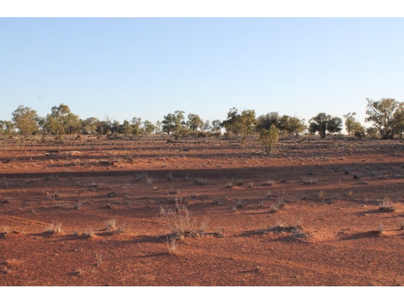 . “CARELLEN”, Cunnamulla QLD 4490