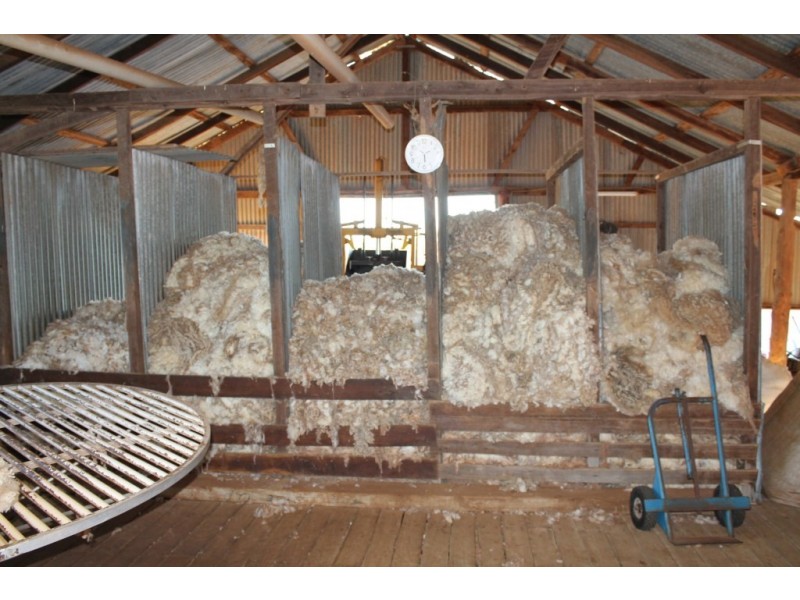 . “CARELLEN”, Cunnamulla QLD 4490