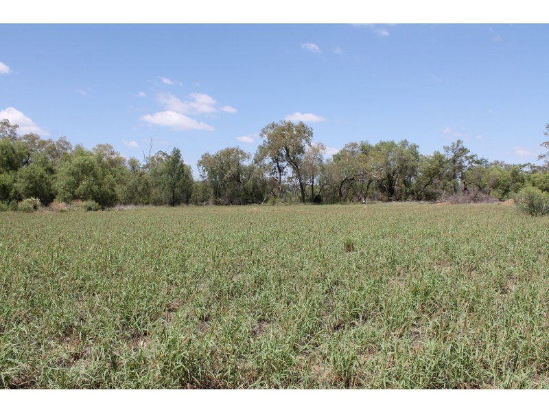 6-8 Dyball Street, St George QLD 4487