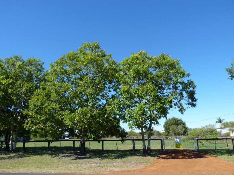Lot 2 Alfred Street, St George QLD 4487