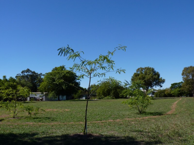 Lot 2 Alfred Street, St George QLD 4487