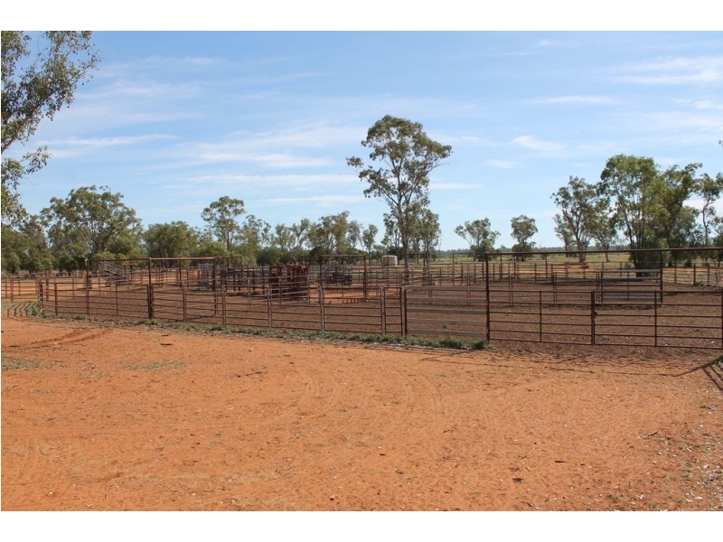 . HONEYMAH LANE, Dirranbandi QLD 4486
