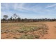 . HONEYMAH LANE, Dirranbandi QLD 4486