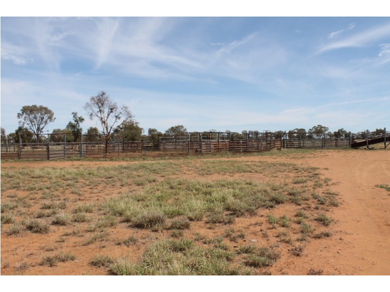. HONEYMAH LANE, Dirranbandi QLD 4486