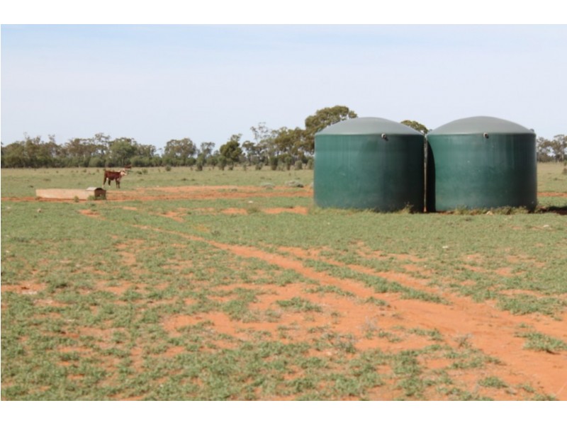 . HONEYMAH LANE, Dirranbandi QLD 4486